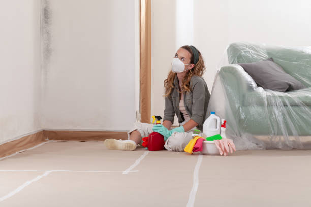 Reliable Black Mold Remediation contractor in Woodland, WA by Car Mold Remediation